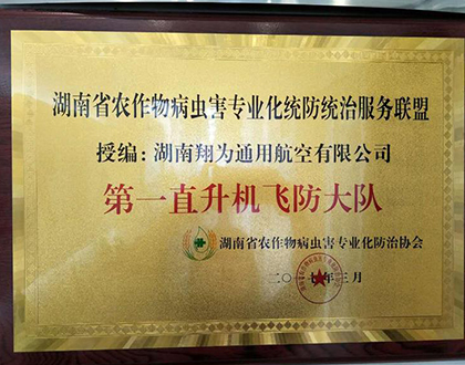 2017授第一直升机飞防大队